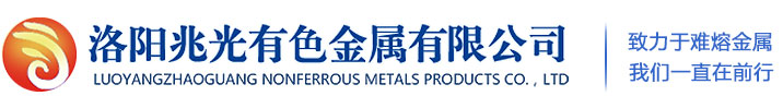 河南瑞固建筑加固工程有限公司